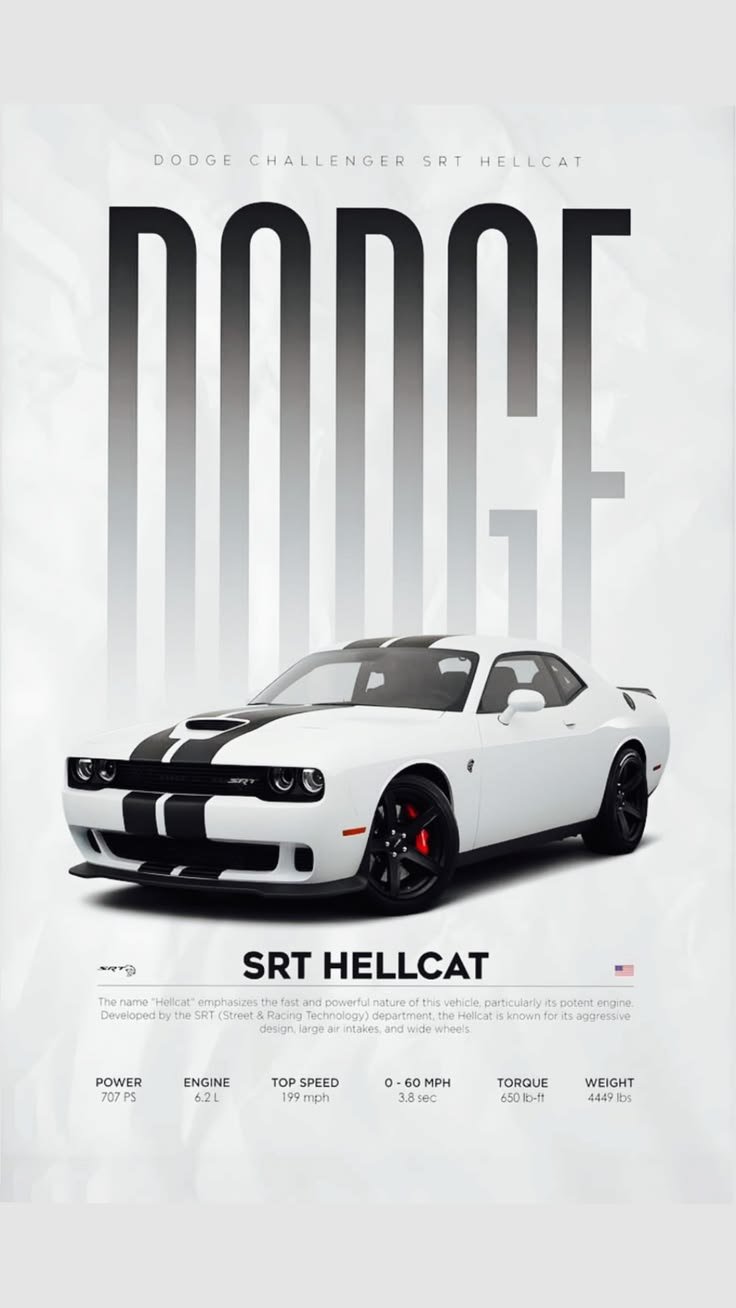 Poster 8